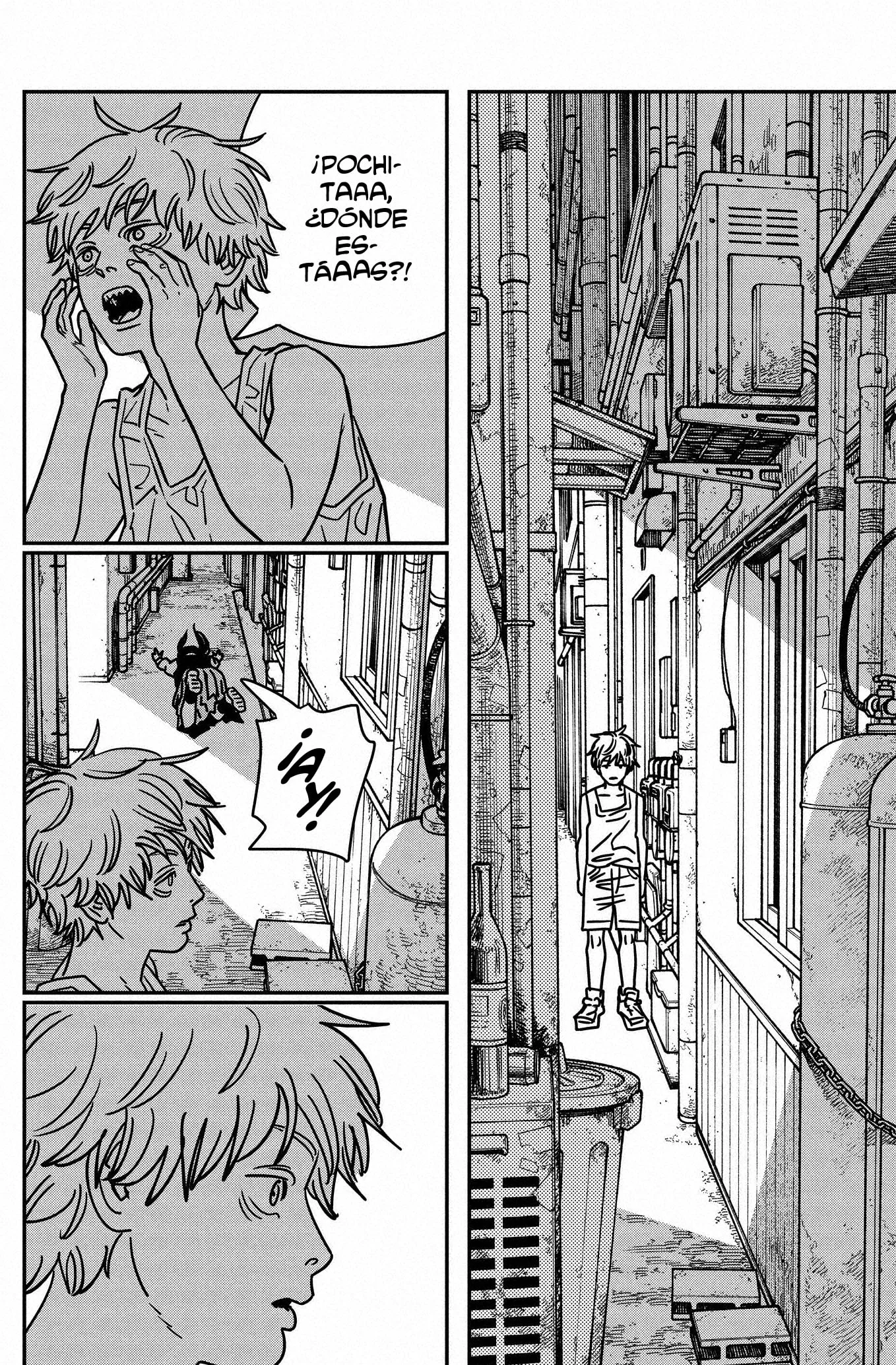 Chainsaw Man capítulo 215, página 12
