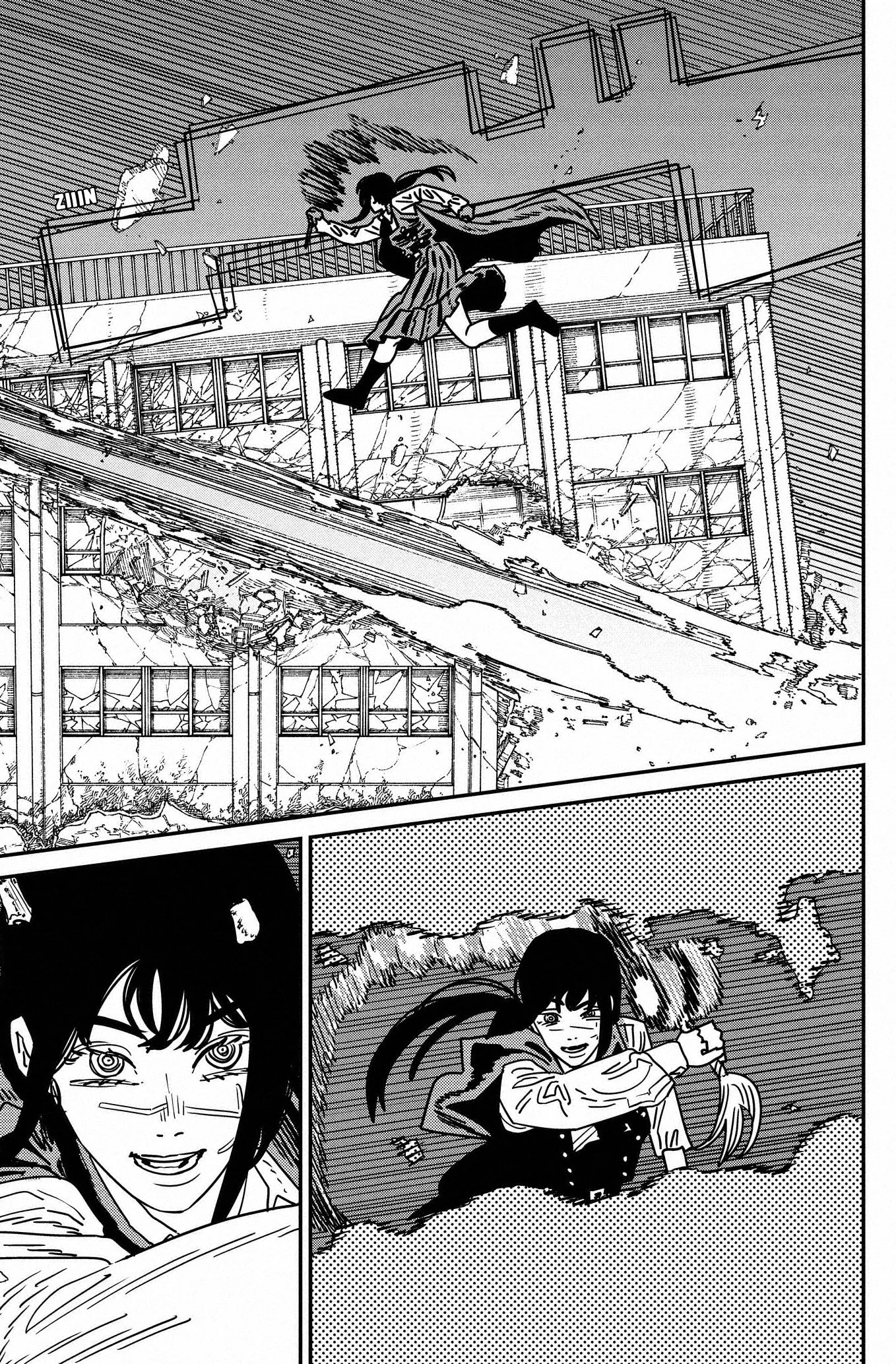 Chainsaw Man capítulo 216, página 8