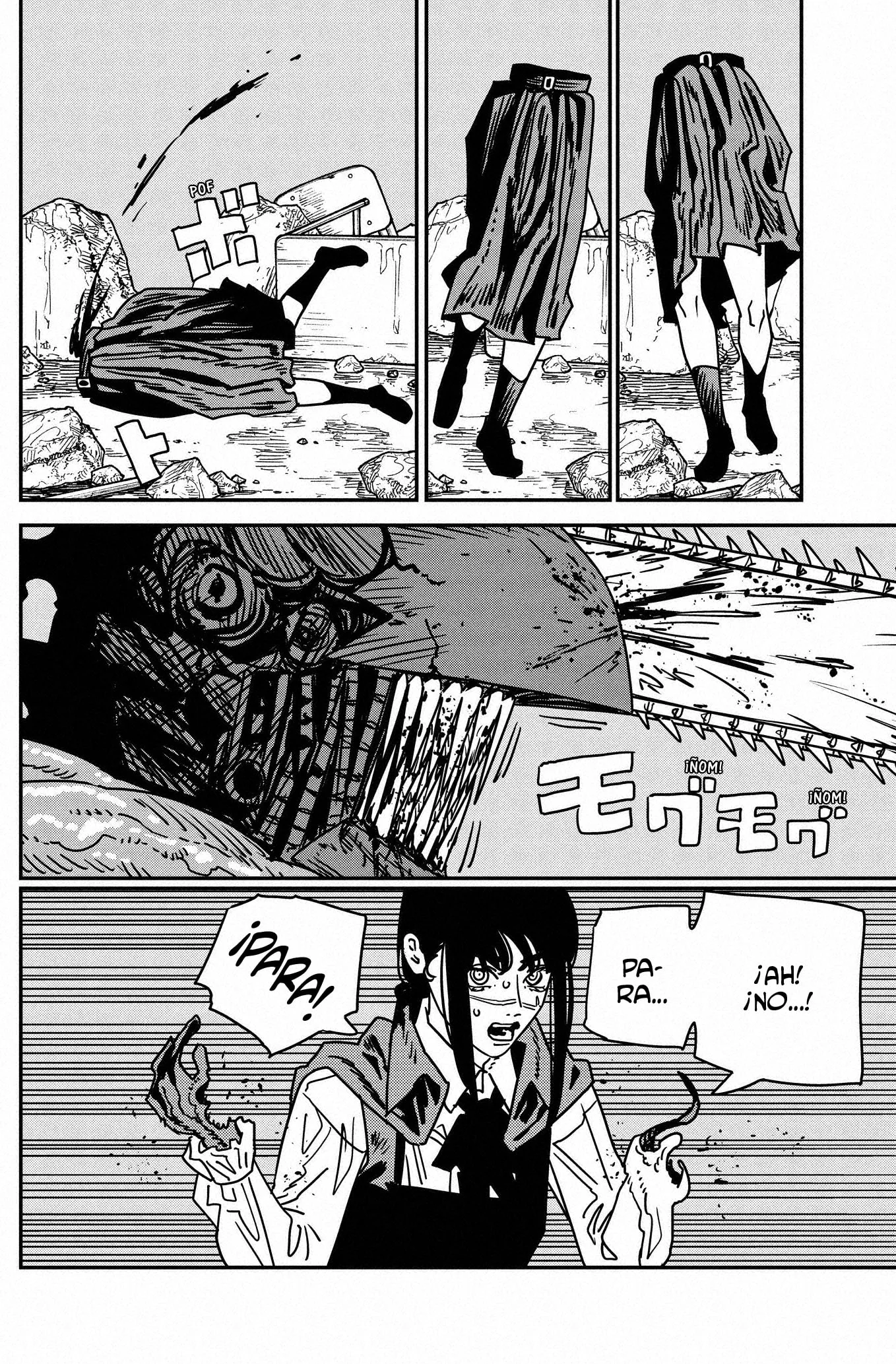 Chainsaw Man capítulo 219, página 13