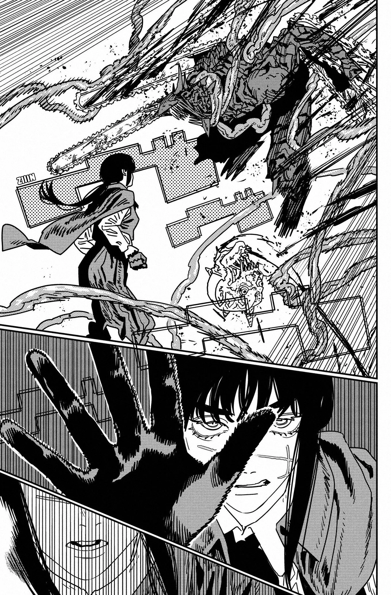 Chainsaw Man capítulo 220, página 11