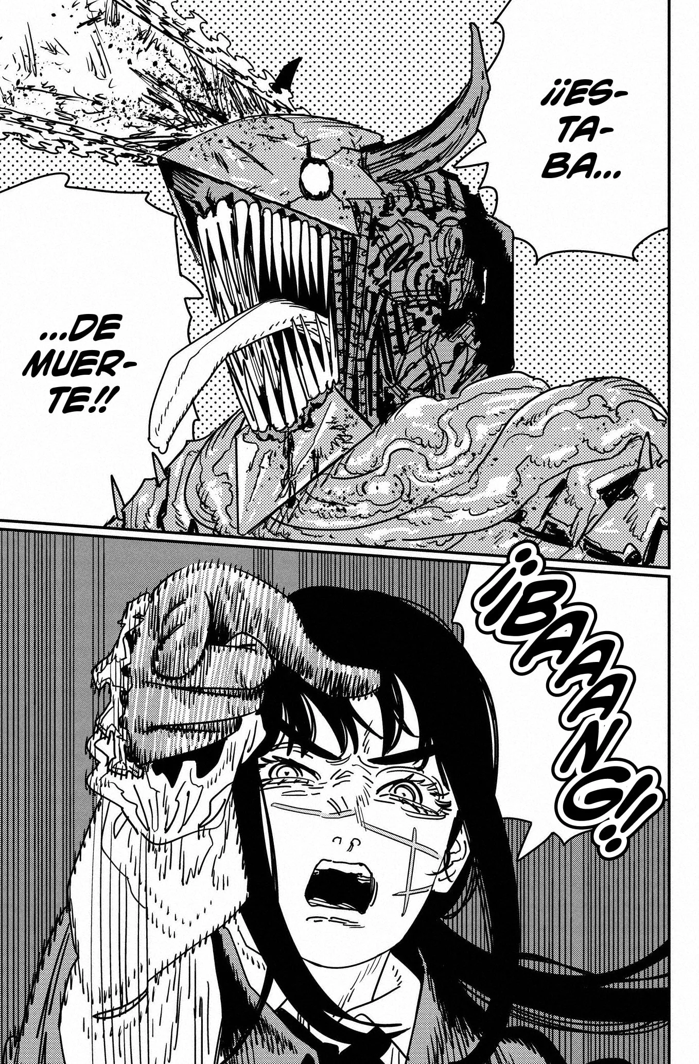 Chainsaw Man capítulo 223, página 12