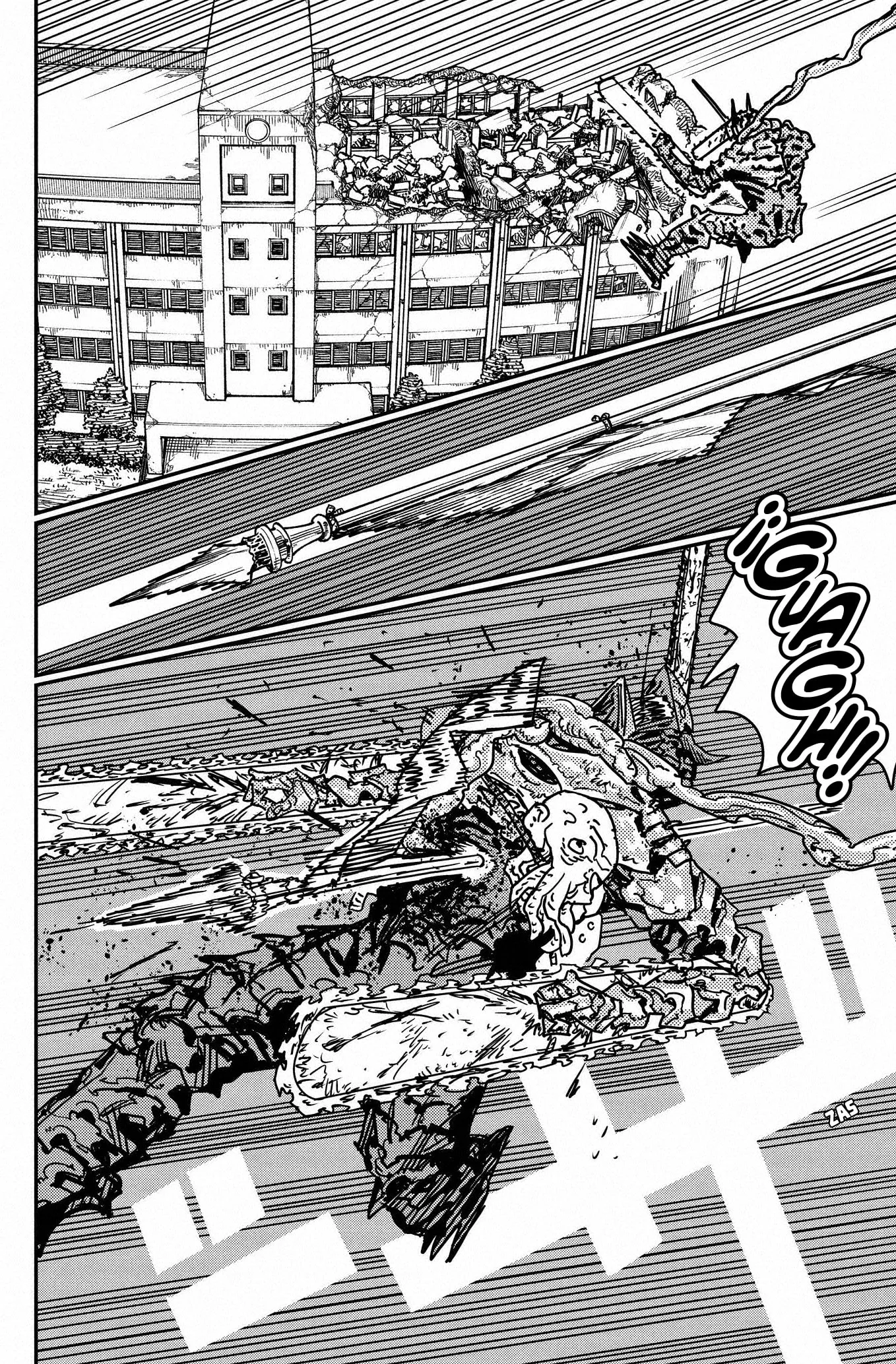 Chainsaw Man capítulo 224, página 7
