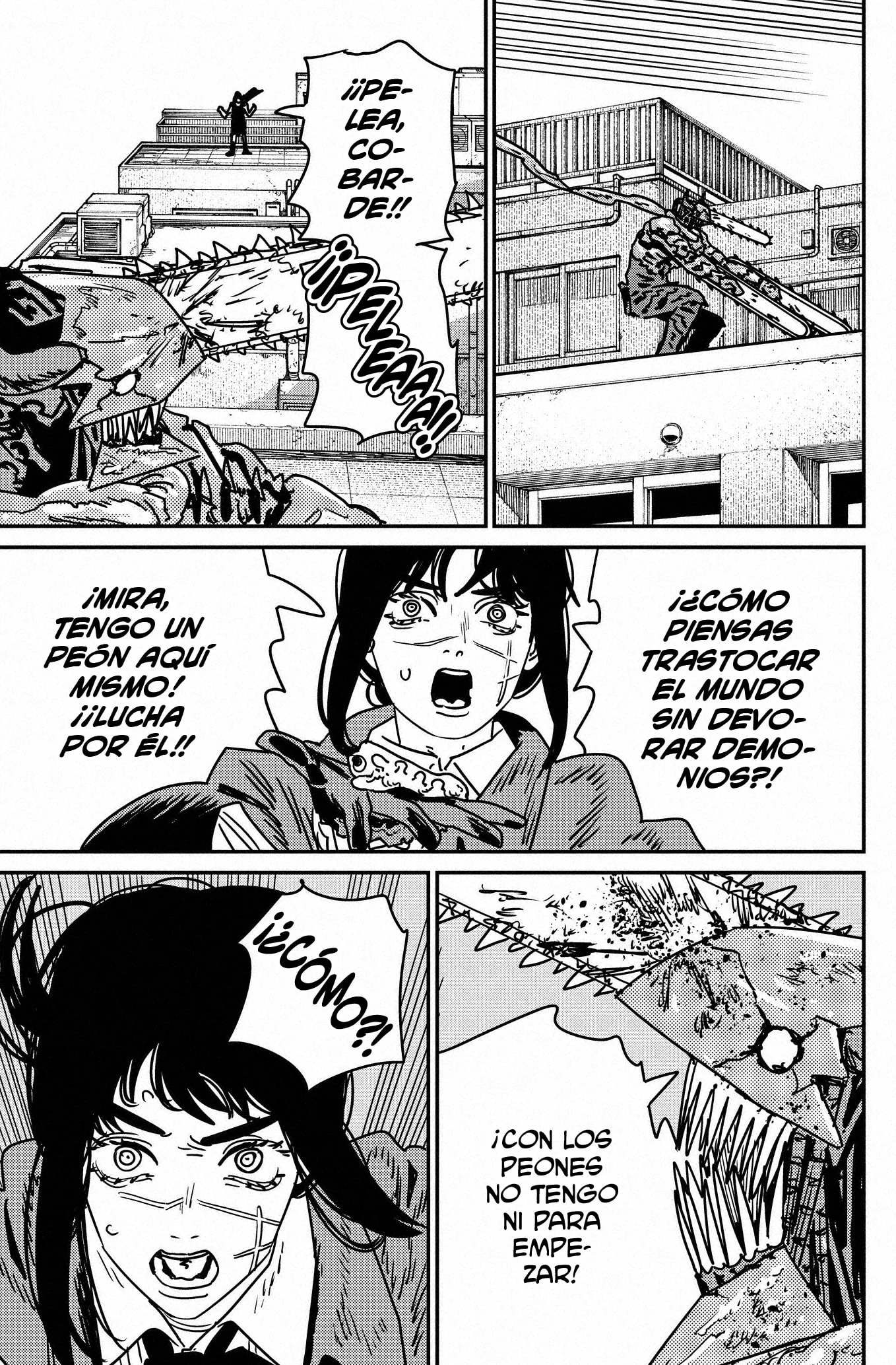 Chainsaw Man capítulo 225, página 11