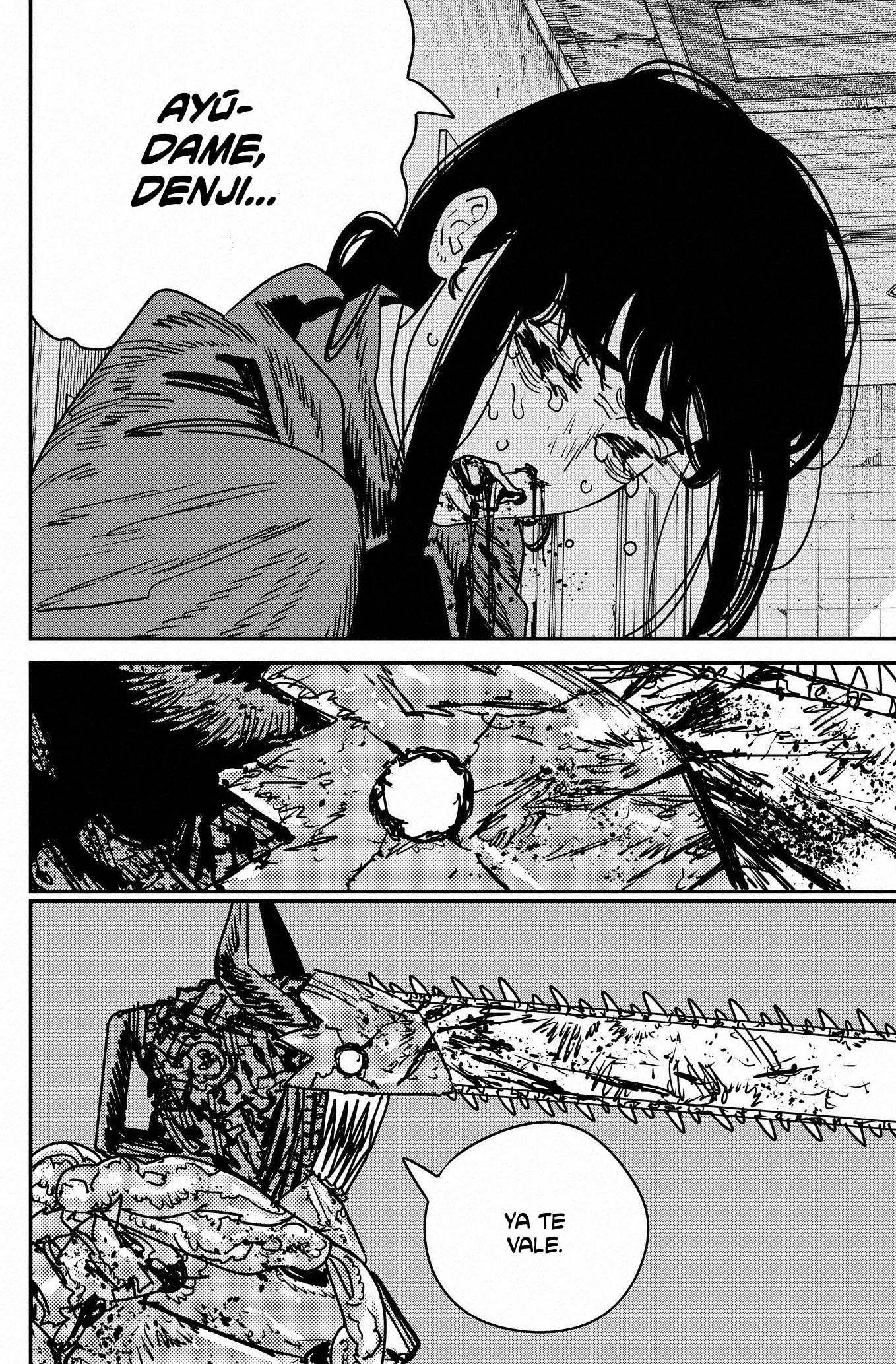 Chainsaw Man capítulo 226, página 10