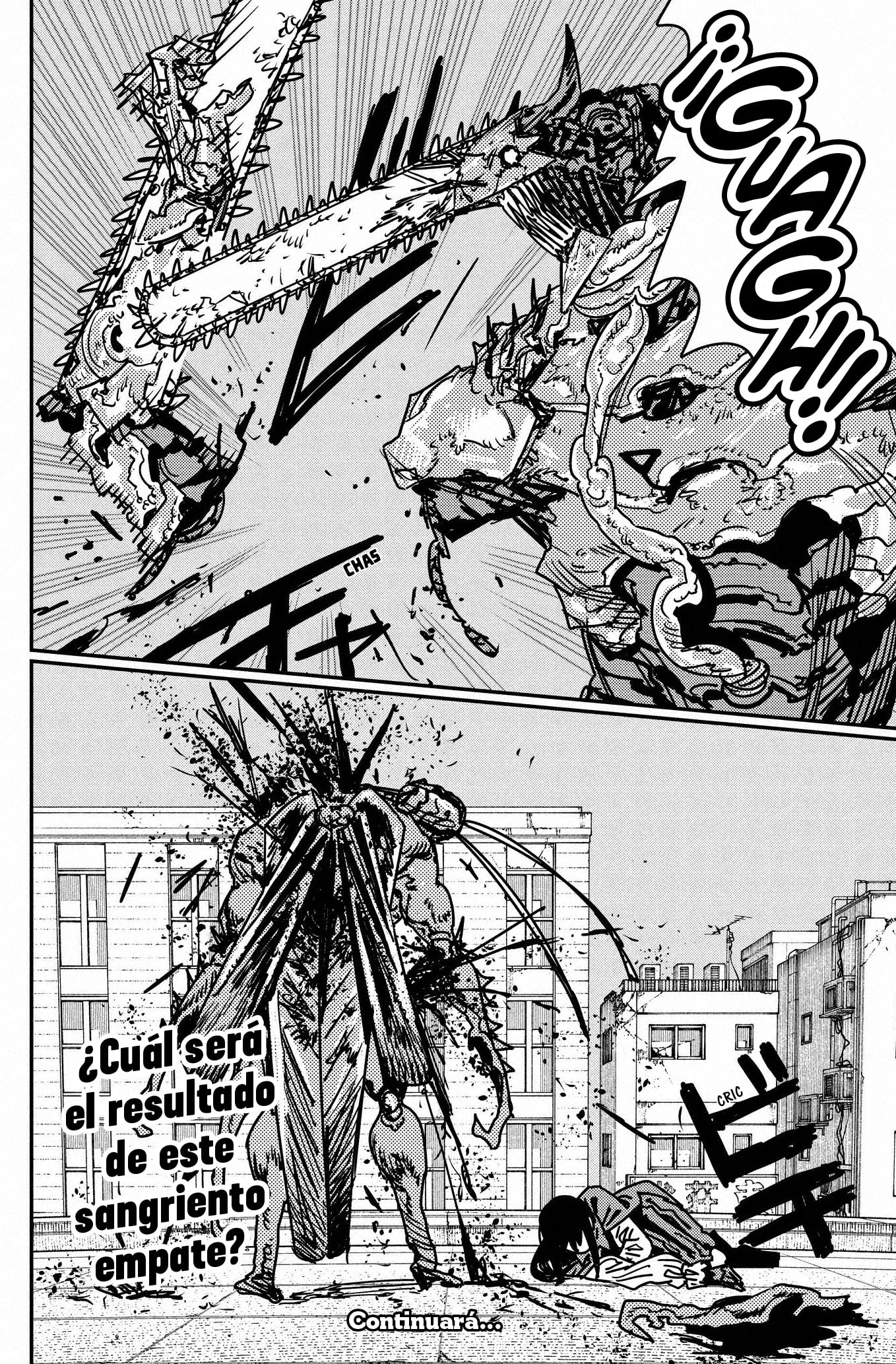 Chainsaw Man capítulo 226, página 13