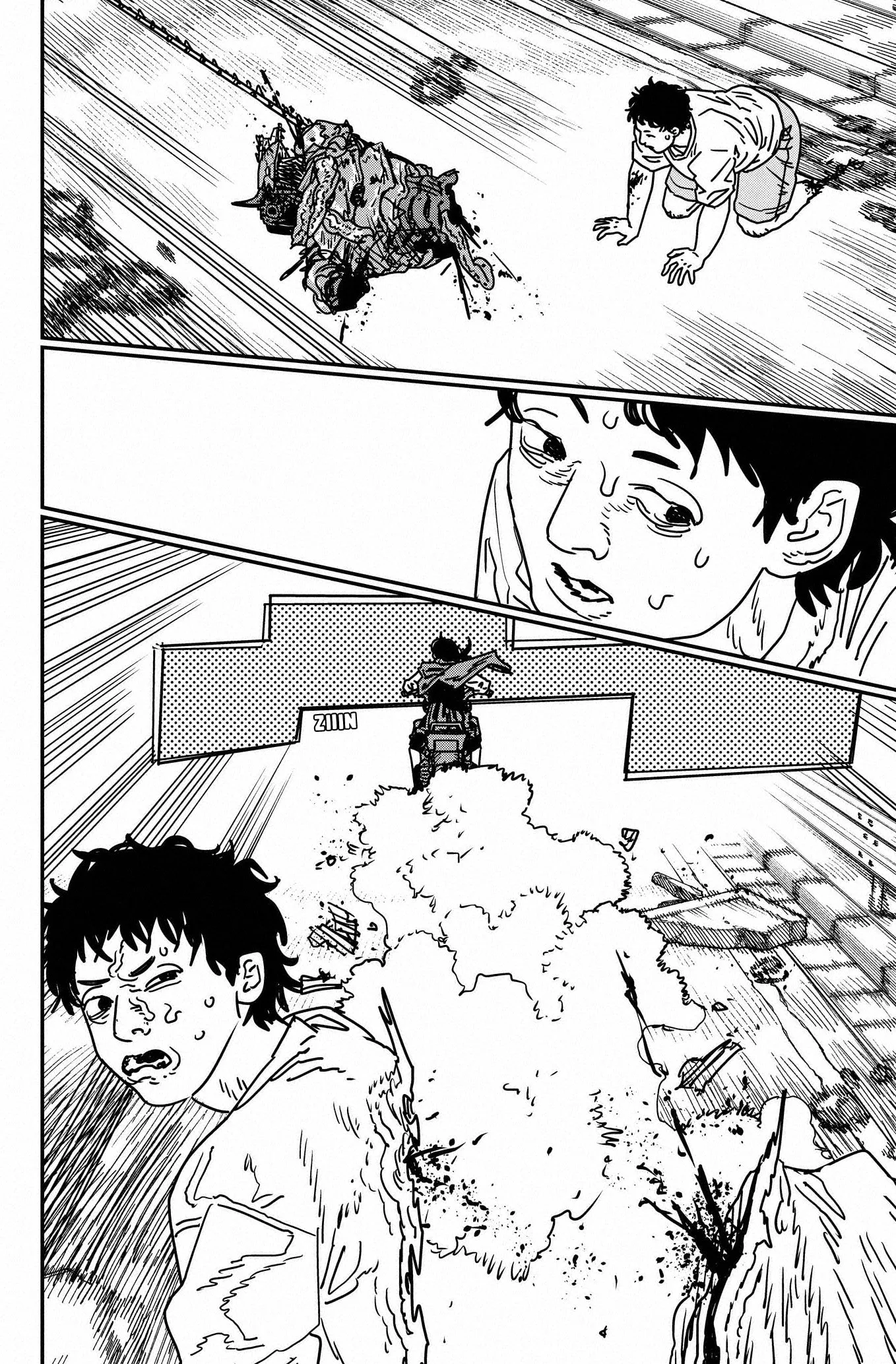 Chainsaw Man capítulo 228, página 5