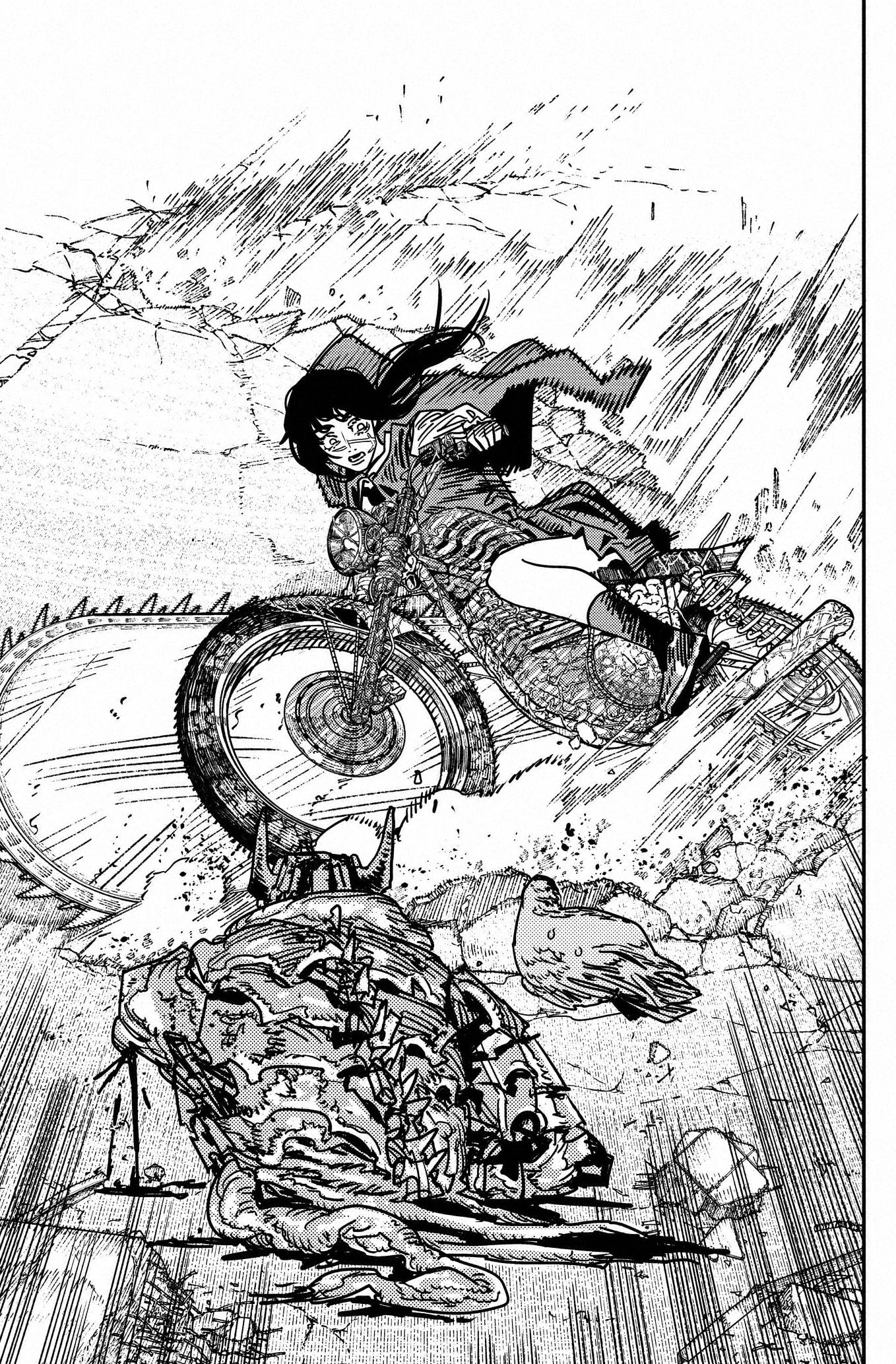 Chainsaw Man capítulo 228, página 10
