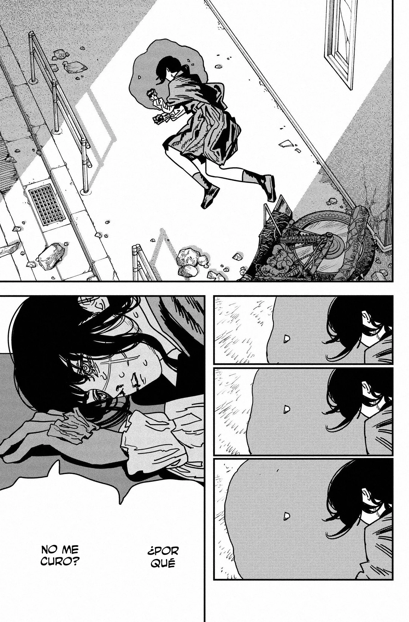 Chainsaw Man capítulo 228, página 12