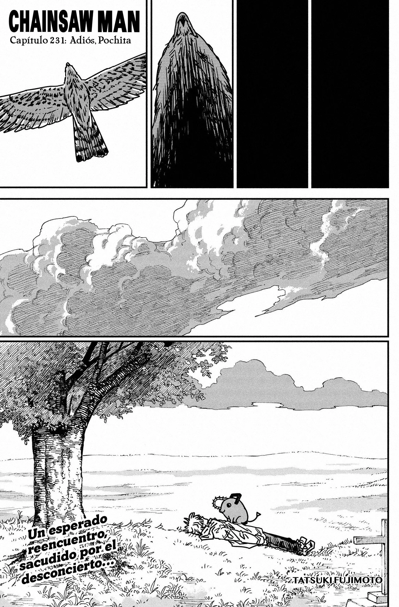 Chainsaw Man capítulo 231, página 1