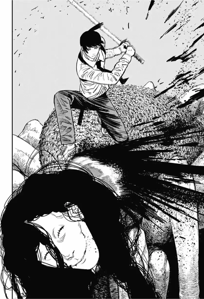 Chainsaw Man capítulo 35, página 17
