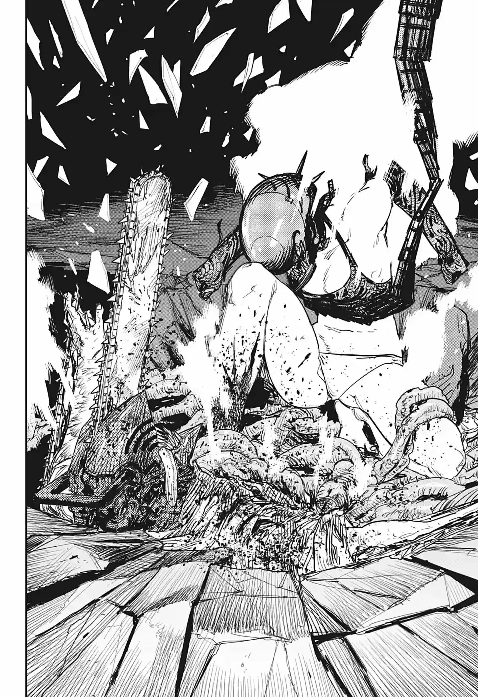 Chainsaw Man capítulo 48, página 14