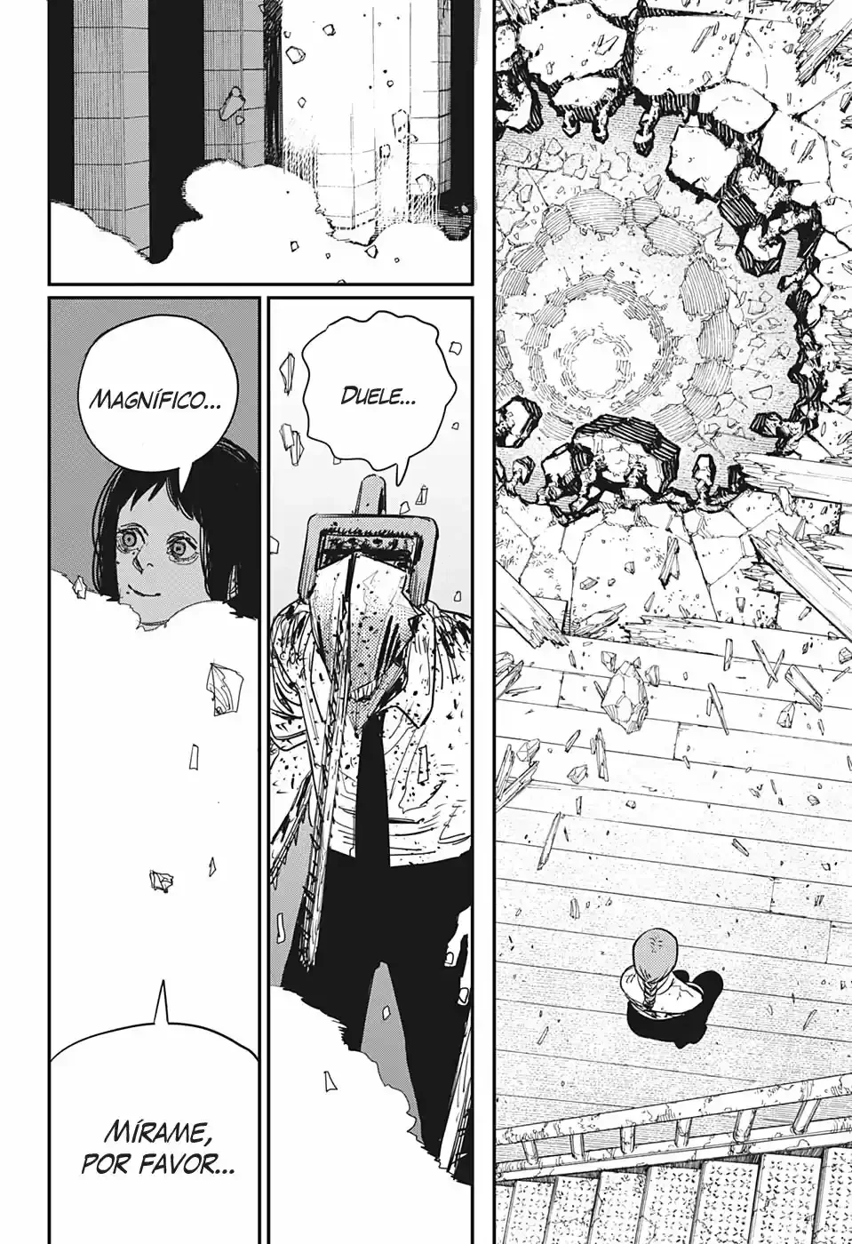 Chainsaw Man capítulo 67, página 11