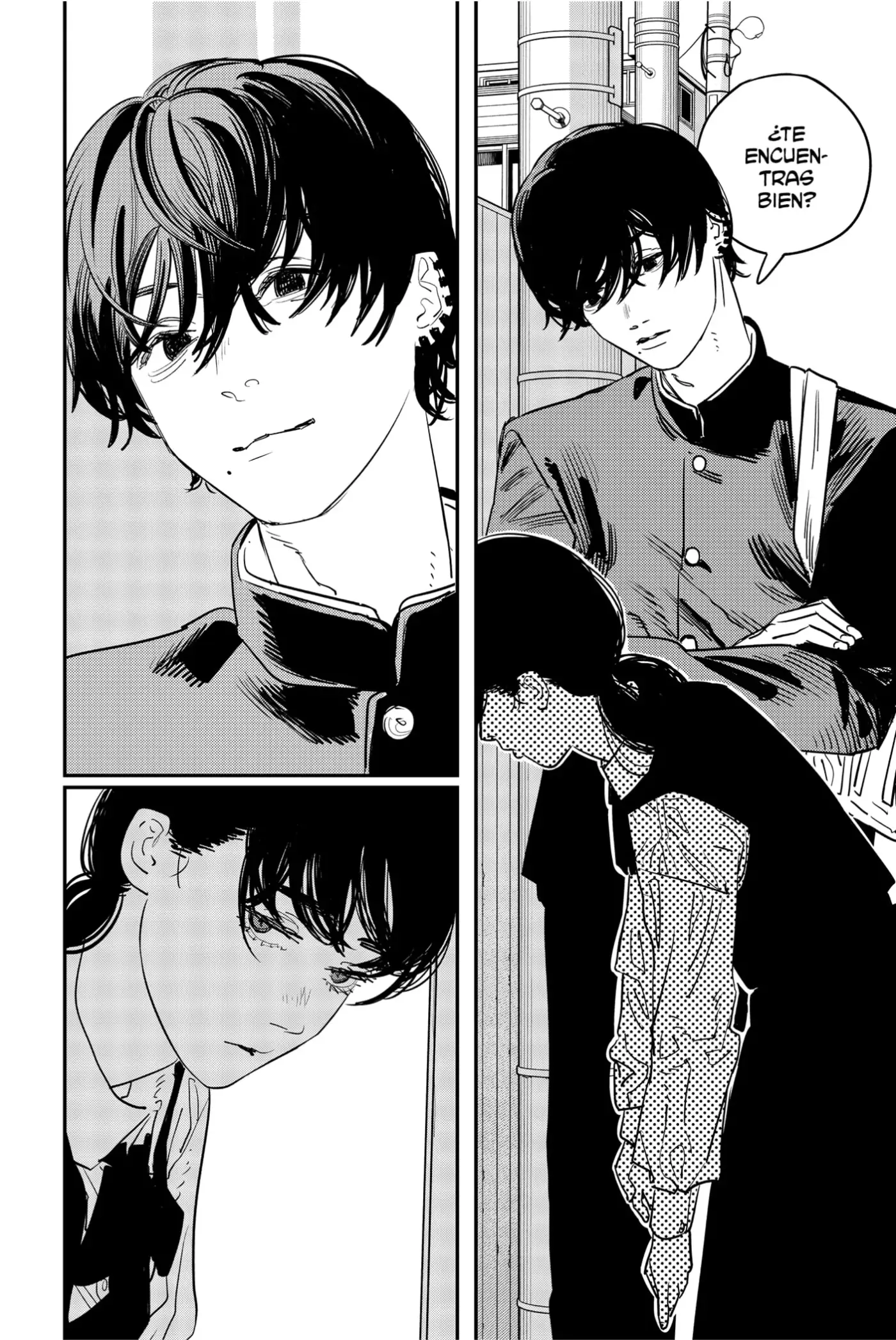 Chainsaw Man capítulo 99, página 12